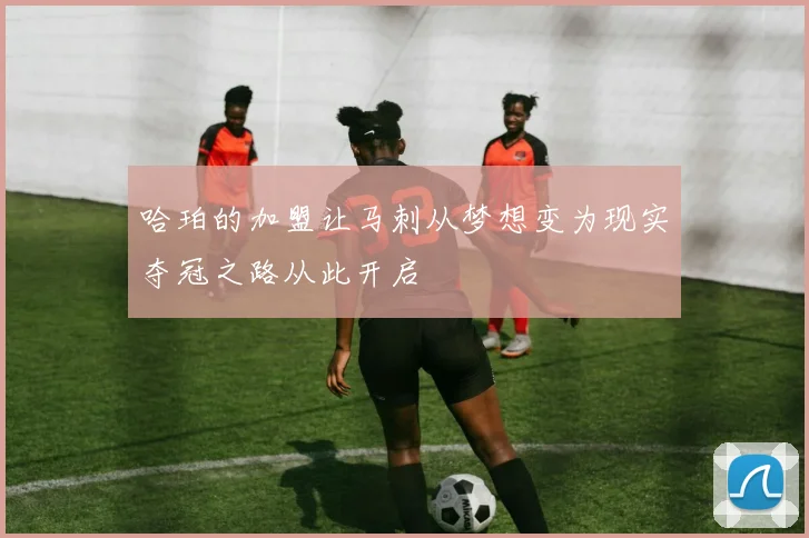 哈珀的加盟让马刺从梦想变为现实夺冠之路从此开启